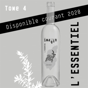 Tome 4-L'essentiel